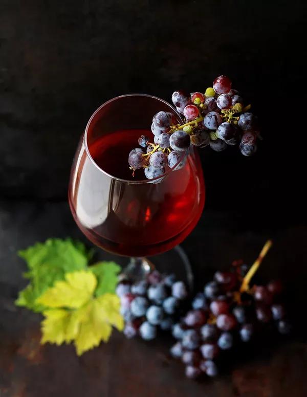 Still Life Photography