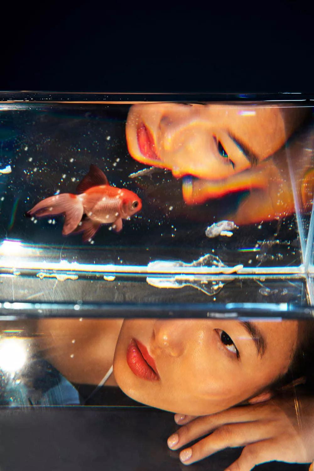 Where does it come from?